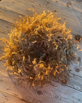 Tenhle věnec chytil sluníčko a už ho nepustí. ☀️ Sem tam ale pustí chmíří, tak není pro citlivky. #nadivoko #prirodnivence...