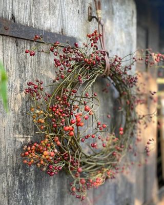 Jen šípky a pozdní slunko. ❤️